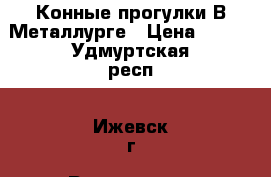 Конные прогулки В Металлурге › Цена ­ 800 - Удмуртская респ., Ижевск г. Развлечения и отдых » Другое   